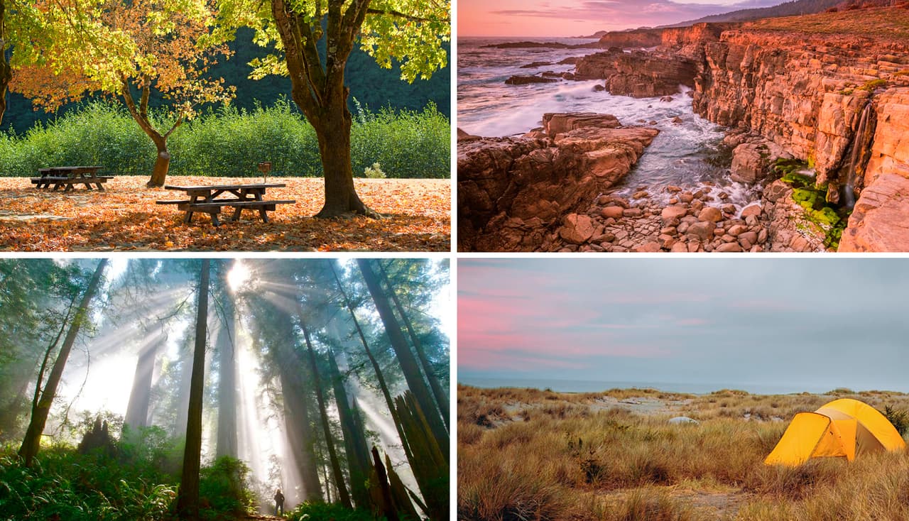 California tiene cientos de lugares por descubrir. Sus 280 parques naturales sos espacios únicos que representan diversos ecosistemas presentes en el estado dorado.