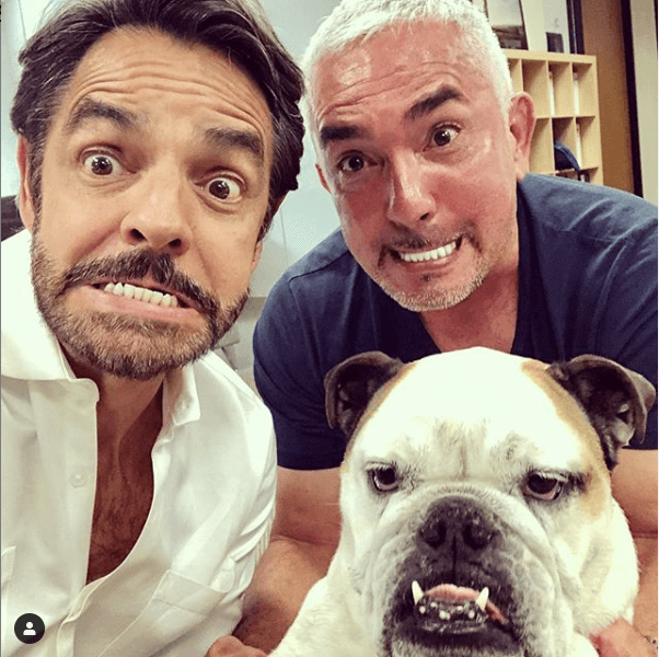 "Aquí en México te piden un pasaporte y tiene su pasaporte para entrar acá, que te lo pide la Sagarpa (ahora Sader, Secretaría de Agricultura y Desarrollo Rural de México), donde vienen todas sus vacunas y donde viene todo su registro de todo lo médico y es, literal, como un pasaporte".