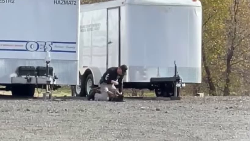 Un hombre quien luego fue identificado como policía de Vacaville fue grabado en video golpear en la cabeza a un perro policía.