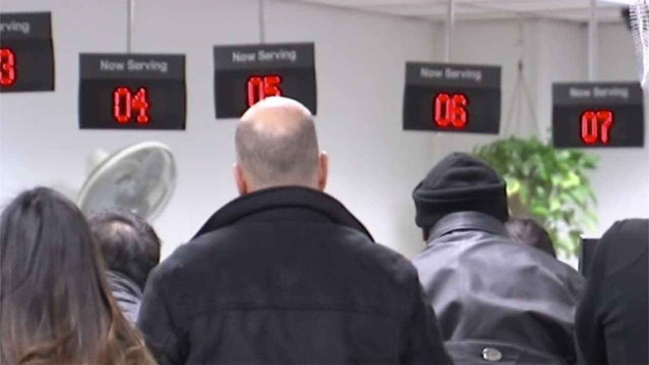 <h3 class="cms-H3-H3">PASO 6</h3>
<br>Recibirás un documento certificado temporal como licencia de conducir o identificación.