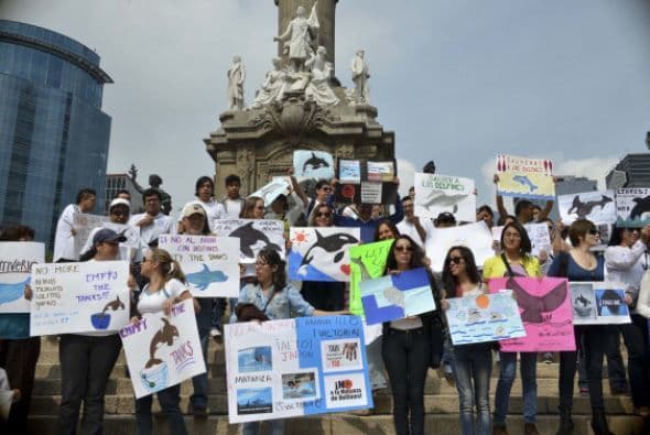 Activistas se manifiestan en el Ángel de la Independencia de Ciudad de México en contra del cautiverio de cetáceos en acuarios.