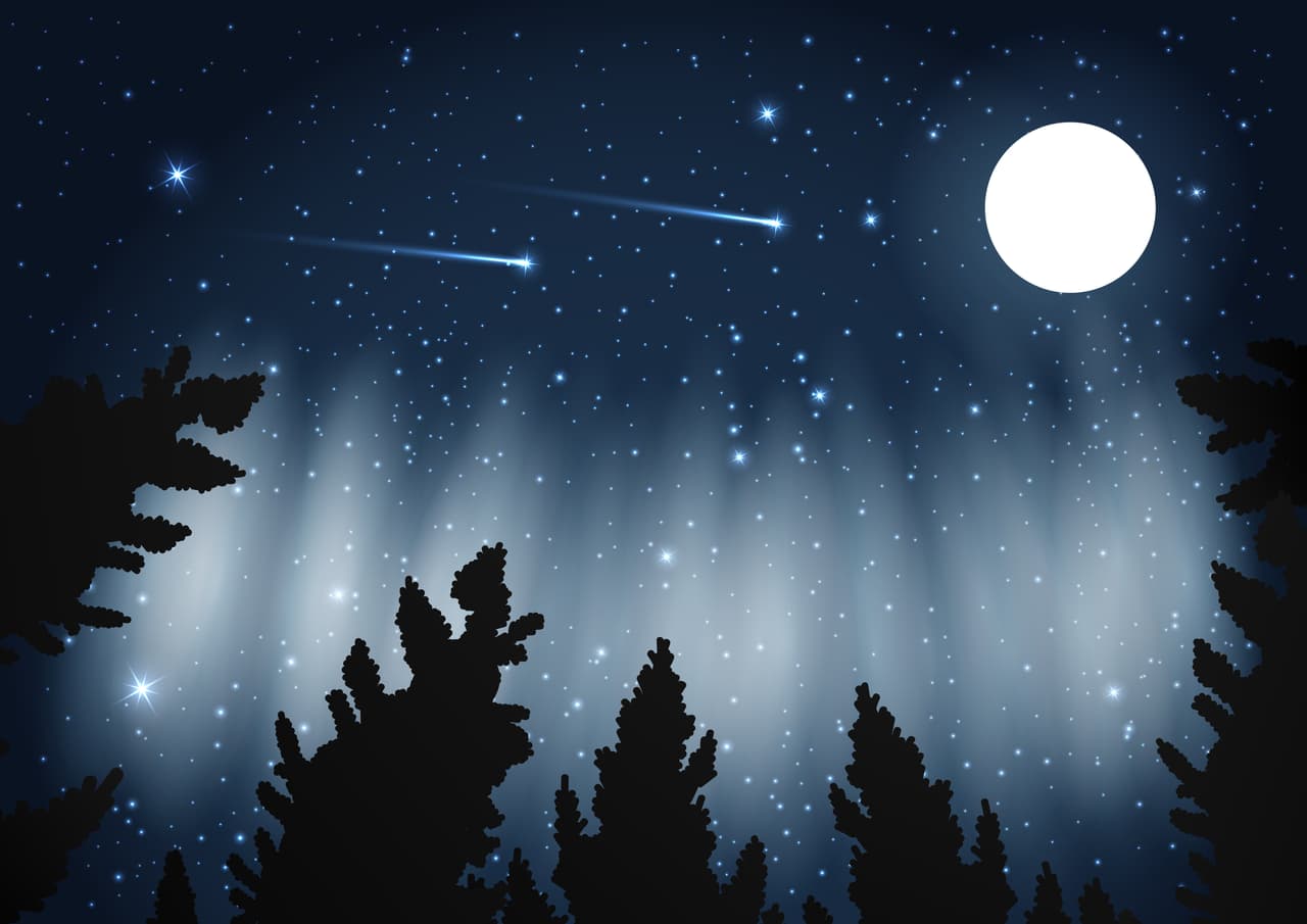 Por supuesto, recuerda que aunque la llamamos 'lluvia de estrellas', se hace en sentido figurado pues no llueven estrellas sino meteoritos pequeños, fragmentos de roca espacial.