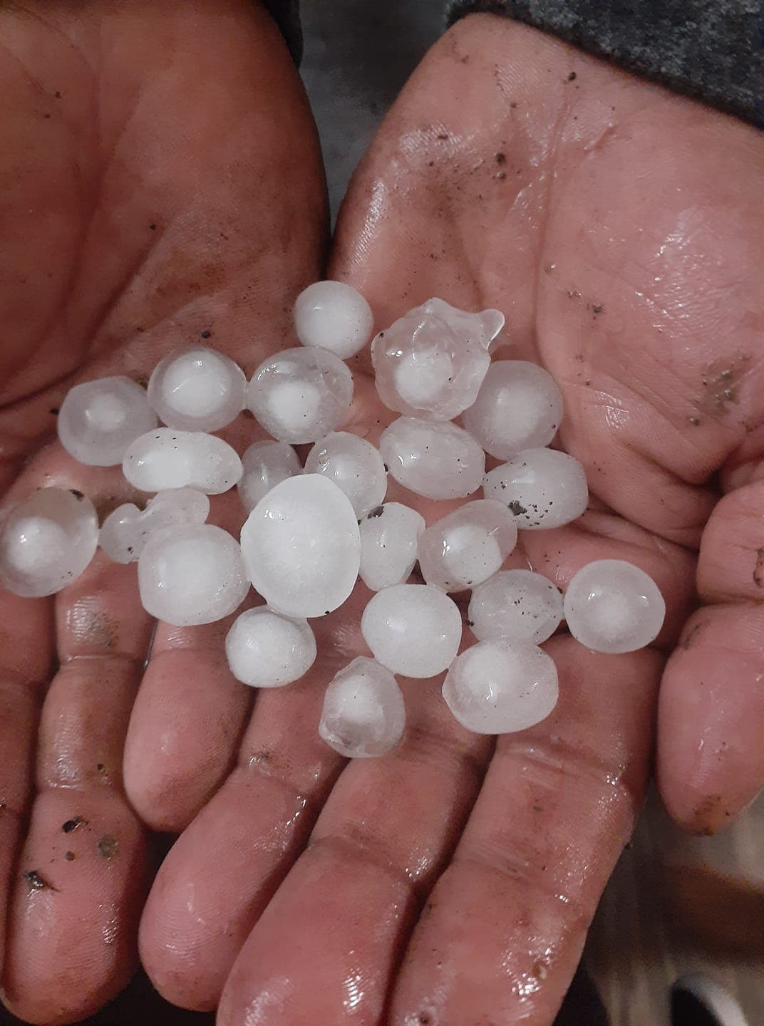 El norte de Texas estuvo bajo riesgo por tormentas severas durante este domingo por la tarde y durante la noche. 
<br>
