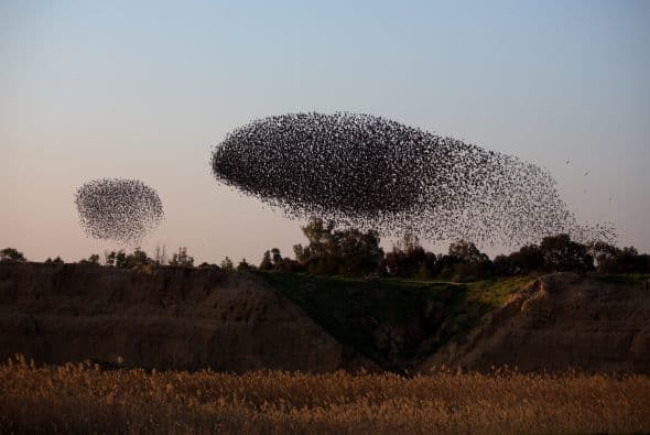 Un baile aéreo con 'obras' en múltiples formas.