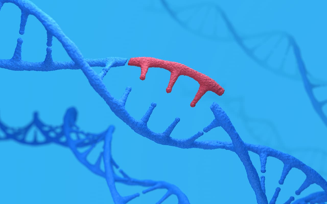 <b>Edición genética.</b> En 2012, un grupo de investigadores de la Universidad de California y, paralelamente, un equipo de la Universidad de Harvard y el Broad Institute, descubrieron de manera independiente una herramienta para realizar cambios detallados en el ADN de cualquier organismo. Este hallazgo significó el nacimiento de una nueva era en la biotecnología.