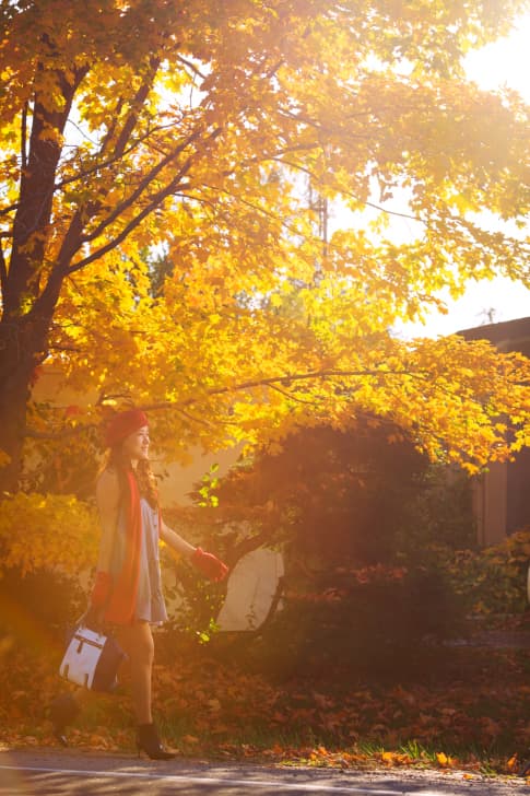 Neptuno, regente de Piscis, es el planeta del idealismo, los sueños y la poesía, la música, la ensoñación, pero ¡cuidado! También puede indicar su lado oscuro y en ese caso crear escapismo, adicción a las drogas o al alcohol y una vida imaginaria, fuera de la realidad.