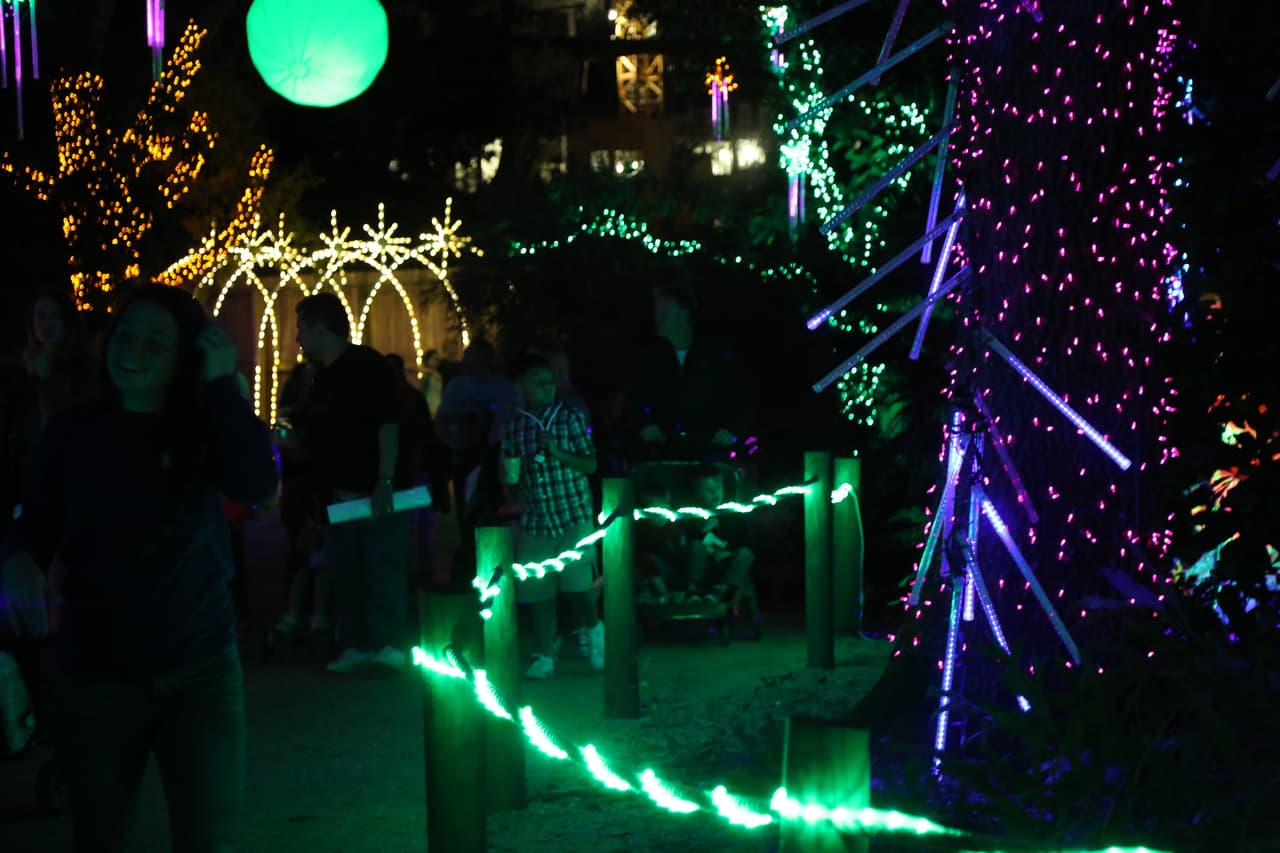 Los visitantes transitan por extensos pasajes iluminados con millones de focos navideños.