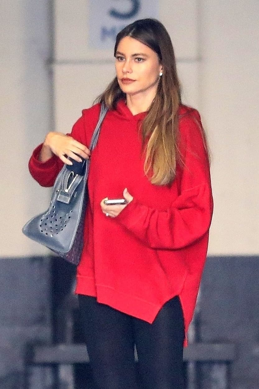 Por segunda vez consecutiva, la colombiana le pidió a un juez de ese estado que deseche el caso, para ella seguir con su vida.