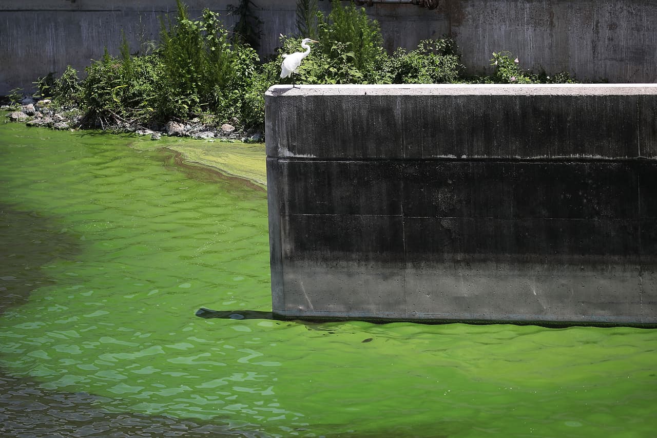 La declaración del gobernador Scott permite que las autoridades estatales descargar y almacenar agua en áreas adicionales al sur del lago para "minimizar los impactos dañinos que estas emisiones están teniendo en las comunidades", dijo el gobernador.
