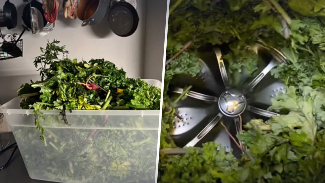 “Sigo lavando mi ropa ahí”: Mujer admite en lavar verduras en su lavadora y se vuelve viral en TikTok