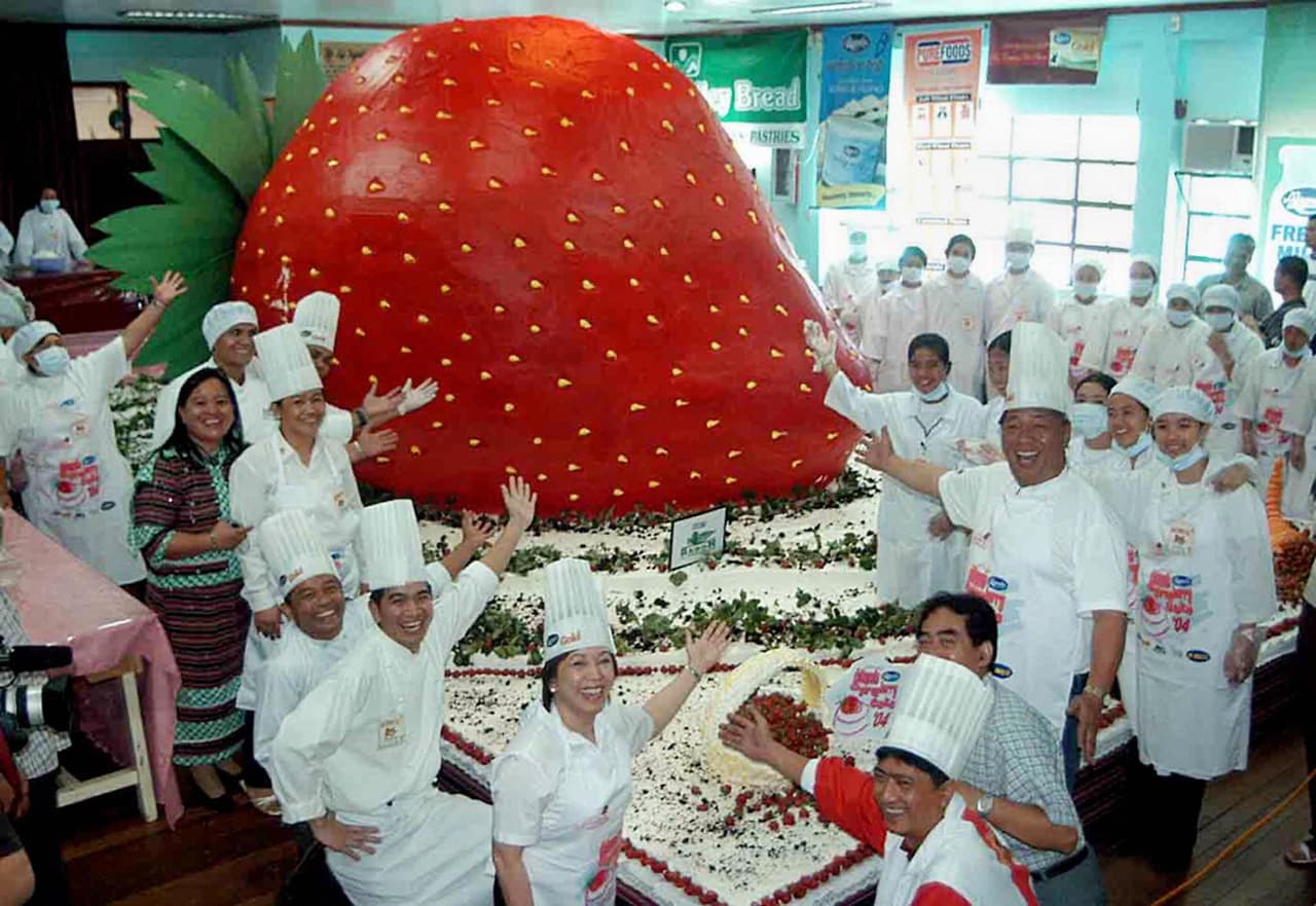 El pastel es una parte esencial de la tradición de la quinceañera, donde la protagonista de la fiesta se encarga de hacer el primer corte y entregar 15 velas a las personas que considera más importantes. Considerando que un pastel común no será suficiente si al final asisten todos los interesados, le recomendamos una opción de mayor tamaño.