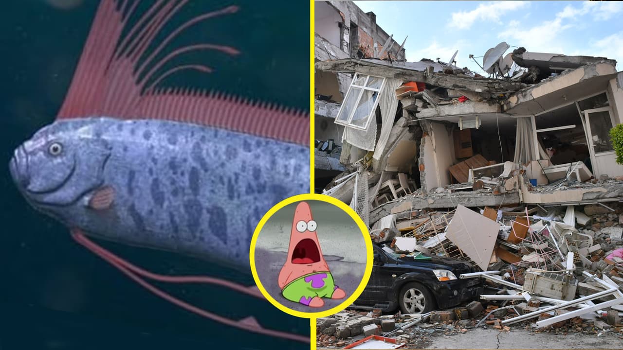 Pez remo es captado en playa mexicana antes de temblor y desata teorías: creen que predice terremotos