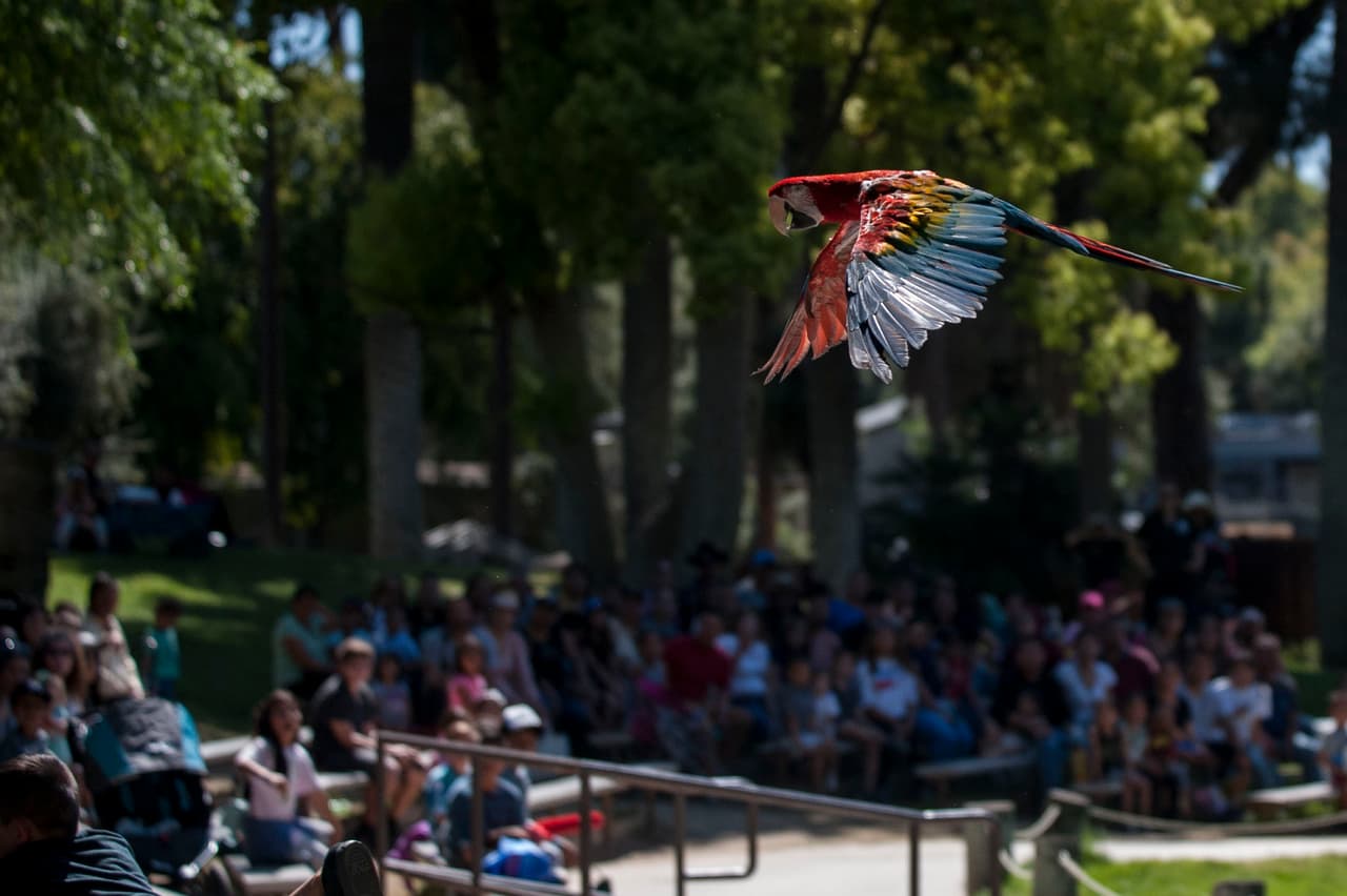 Un bello dia fue perfecto para las familias desde Bakersfield a Modesto.