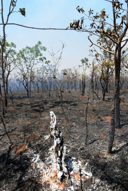 Unas 70 personas, entre bomberos y voluntarios, trabajaron en la contención de las llamas en la zona, según la administración del parque que prohibió a los turistas que accedieran al mismo.