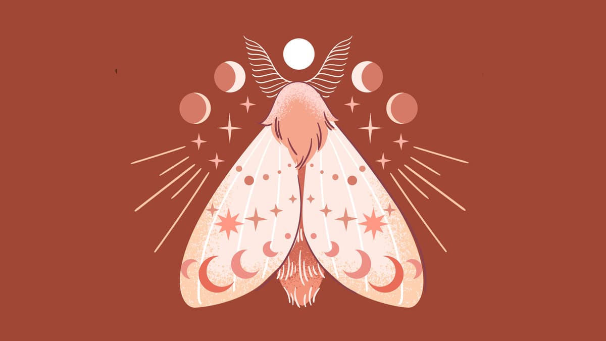 Seguramente has escuchado de la creencia o vieja historia de que si ves una mariposa negra, polilla o paloma negra en tu hogar, es un mal presagio, y que la mala suerte inevitablemente llegará a tu vida.