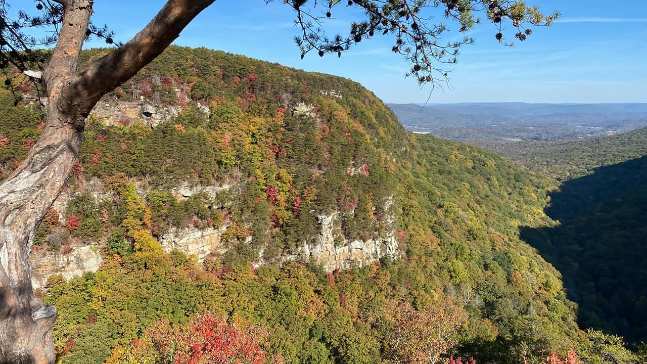 <b>Cloudland Canyon State Park (Rising Fawn)</b>
<br>
<b>Sitio web</b>: 
<a href="https://gastateparks.org/CloudlandCanyon">https://gastateparks.org/CloudlandCanyon</a> 
<br>
<a href="https://maps.app.goo.gl/yQNvGMawt7YQ3uzBA"><b>Cómo llegar</b></a>
<b> </b>
<br>
<br>Se trata de uno de los parques más bellos de Georgia y ofrece miradores de fácil acceso y senderos desafiantes. Una de las caminatas favoritas te lleva por una escalera hasta el fondo del cañón, donde encontrarás dos cascadas.