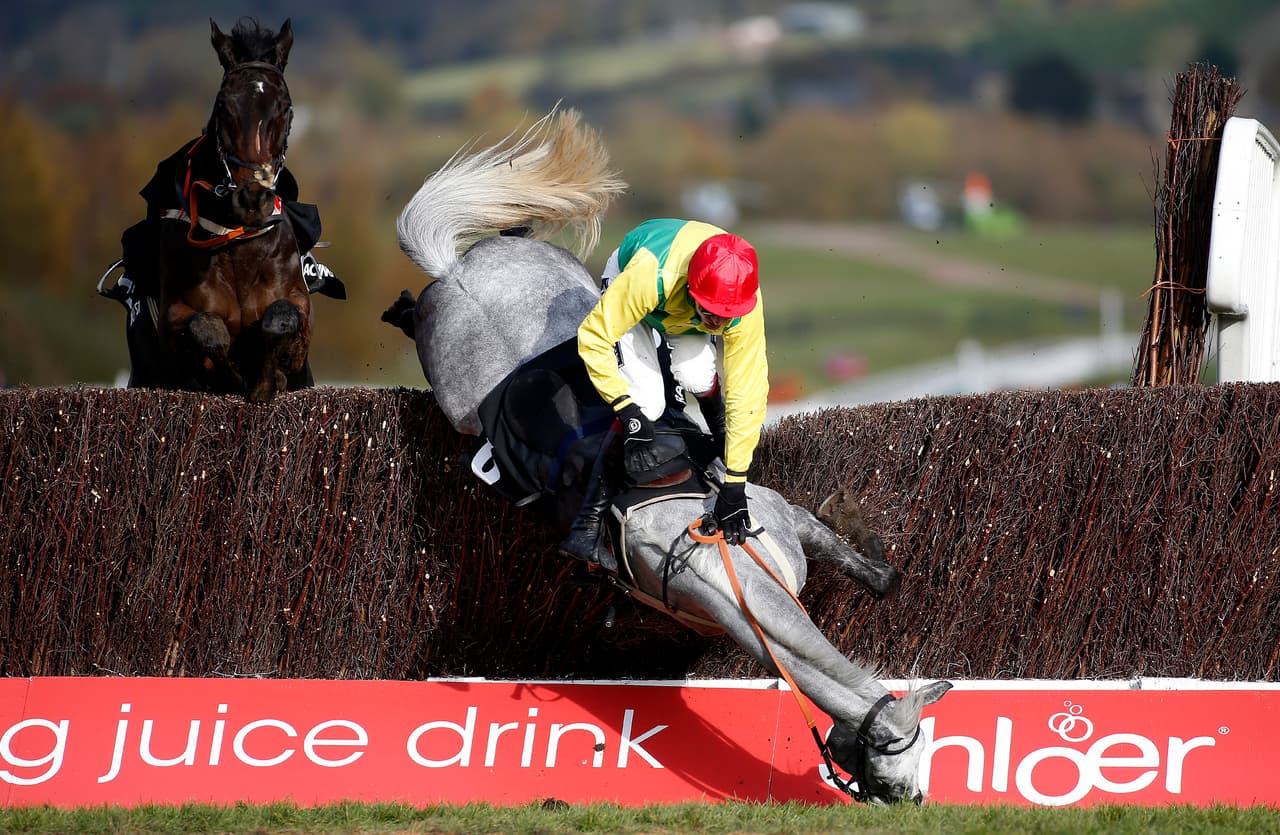 El primero en tocar suelo fue el caballo, en un golpe que de entrada luce dramático para la salud del animal.