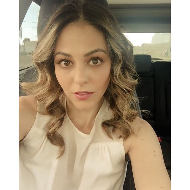 Lizbeth también era parte de la familia Dávila, esta telenovela fue el segundo melodrama donde apareció Adriana Nieto.