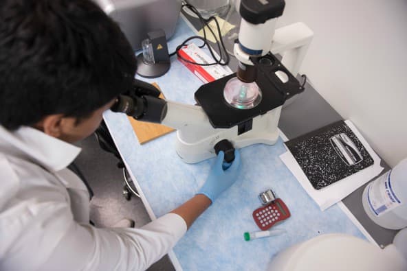 Ofrecen programas de verano pagados para estudiantes latinos en el condado de Lake