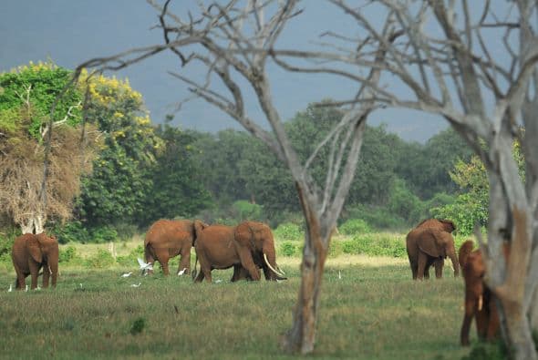 Además de la donación del actor, la gala hecha con este propósito, reunió otro monto igual con la aportación de cientos de personas.