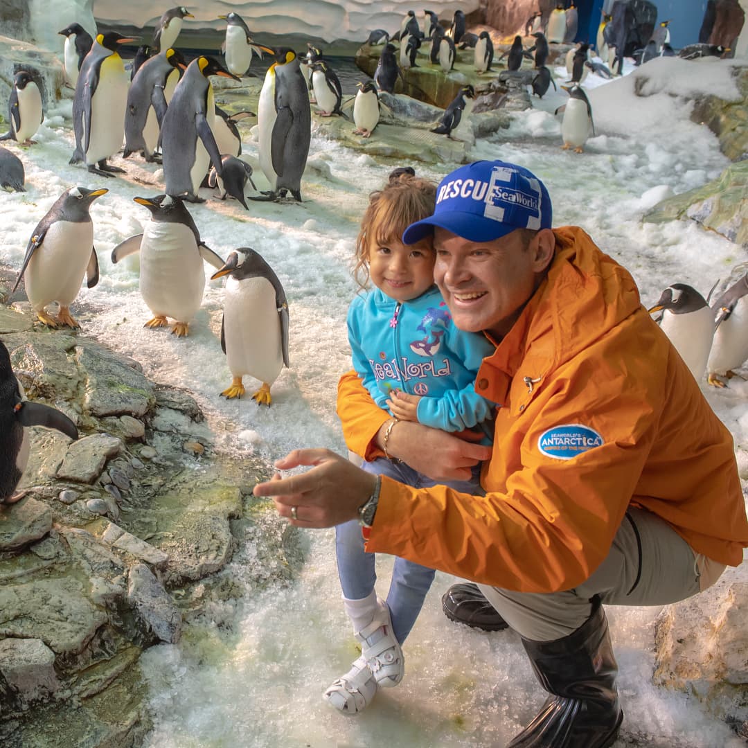 Alan es su aliado en múltiples aventuras, tanto en el deporte, en el arte y en las enseñanzas de vida, como en esta ocasión en la que le mostró la importancia de cuidar a los animales.