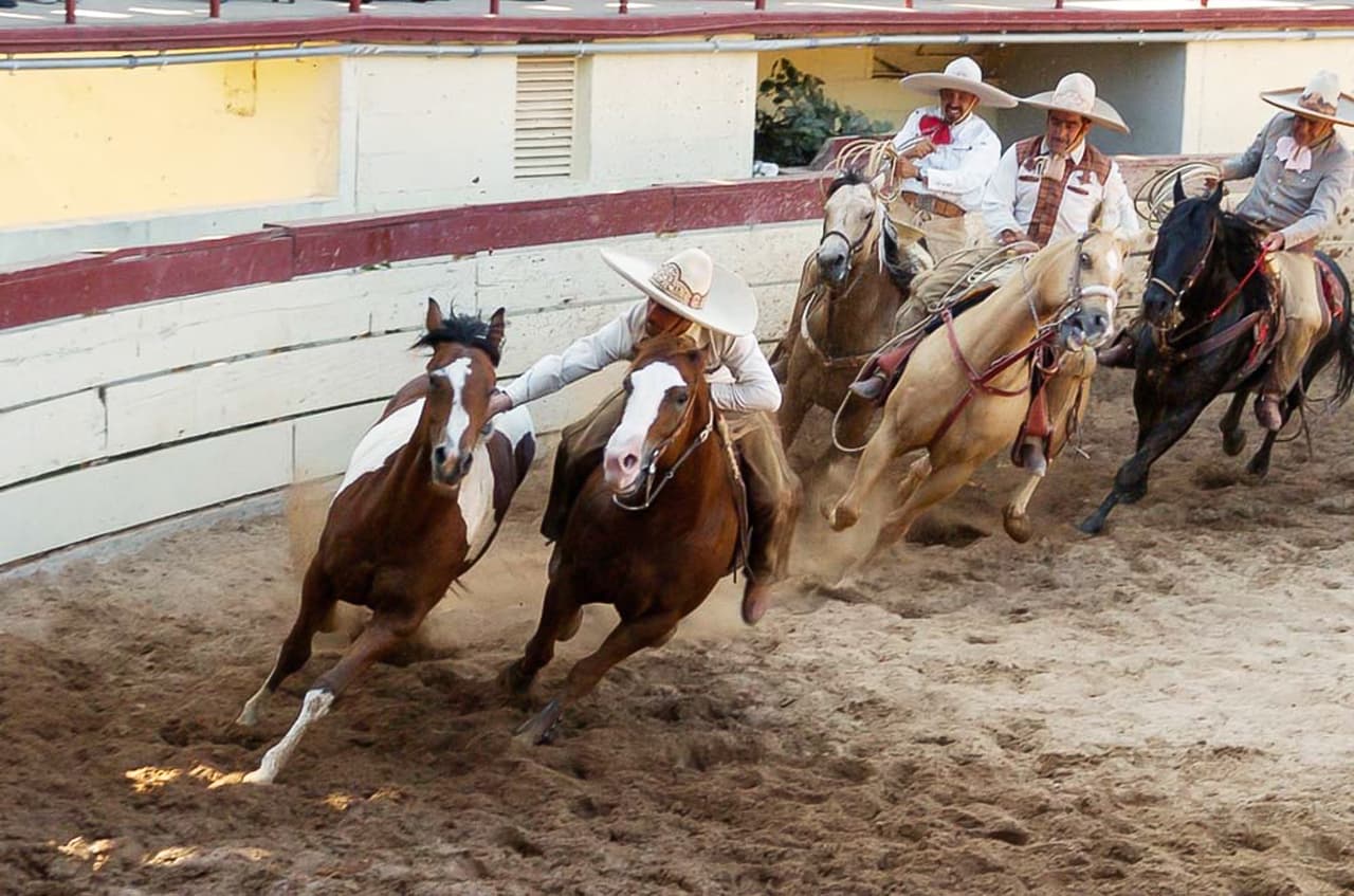 <h2 class="cms-H2-H2">Day in Old Mexico</h2>
<br>
<ul>
<li class="li1">Cuándo: 27 de abril</li>
</ul>
<ul>
<li class="li1">Hora: 11:00 horas - 19:00 horas</li>
</ul>
<ul>
<li class="li1">Dónde: Rancho del Charro</li>
</ul>
<ul>
<li class="li1">Qué es: Caballos y mucho color en esta presentación de charros</li>
</ul>