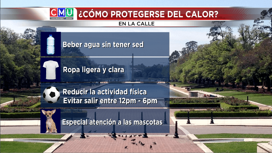 Cómo protegerse del calor