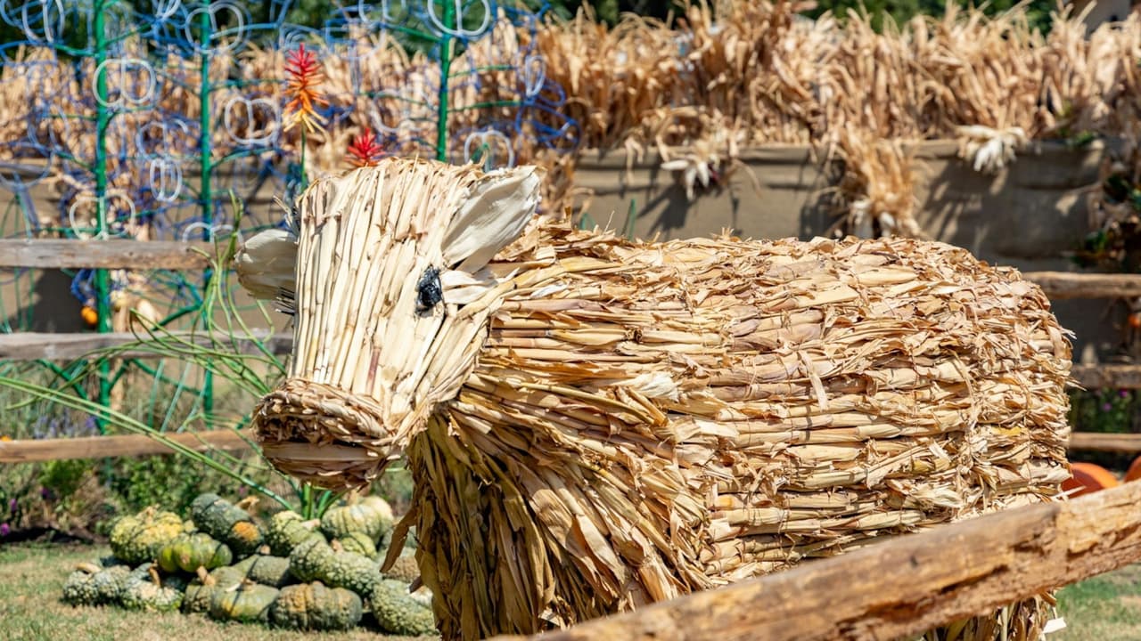 El otoño en el Arboreto y Jardín Botánico de Dallas es
<b>una experiencia educativa y divertida que invita a familias de todas las edades a disfrutar juntas</b>. Descubre la belleza de la naturaleza, la historia de Texas y la alegría del otoño en un evento que promete diversión y
<b>aprendizaje para todos.</b>