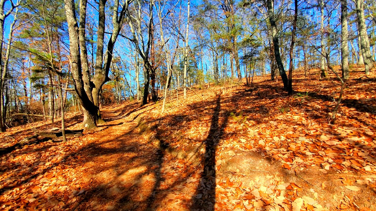 En este punto, tienes dos opciones. La primera, es iniciar al oeste y recorrer más de 3.5 millas del sendero. Encontrarás el mirador casi hacia el final del recorrido.