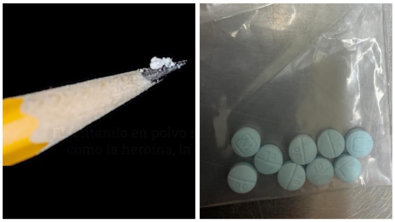 Decomisos de fentanilo en la frontera de Arizona superan los 3,000 libras en el 2022