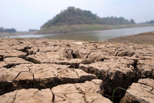 Muchas cabezas de ganado han caído también, especialmente en regiones como Olancho.
