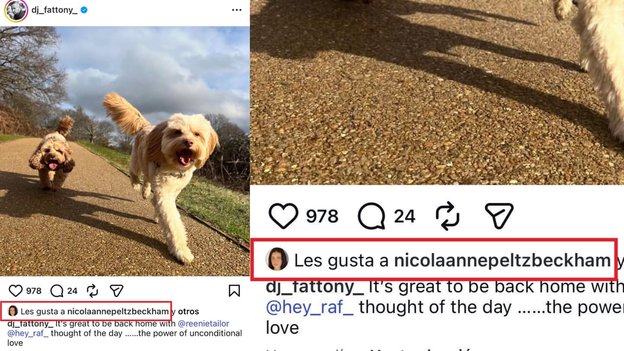 Nicola Peltz le dio 'like' a esta publicación que hizo Fat Tony en Instagram tan solo horas después de hacer reveladoras declaraciones en la TV británica sobre la boda de la actriz con Brooklyn Beckham.