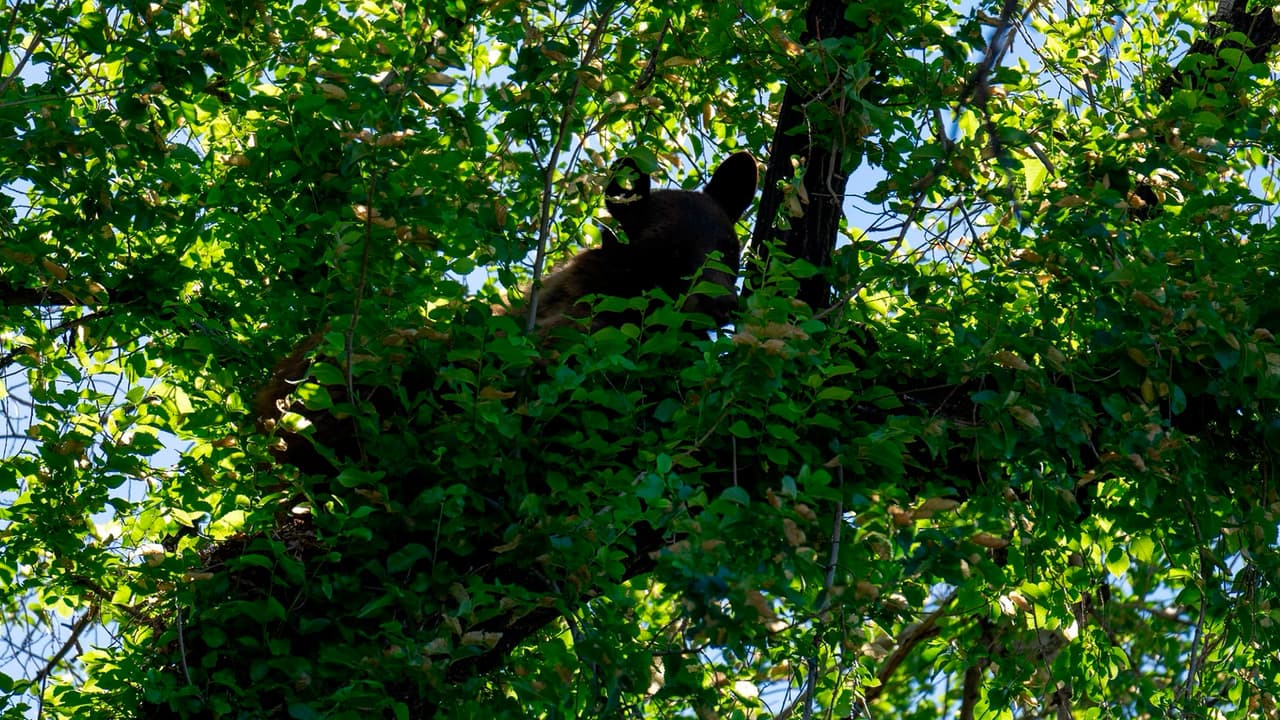 Esto generó temor entre algunos vecinos del lugar, quienes temían que tendrían que evacuar la zona, sin embargo esto no fue requerido y las autoridades solamente pidieron a los residentes no acercarse al sitio.