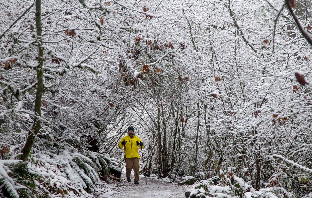 Un caminante bajo los árboles cubiertos de nieve en un bosque en Eugene, Oregon.