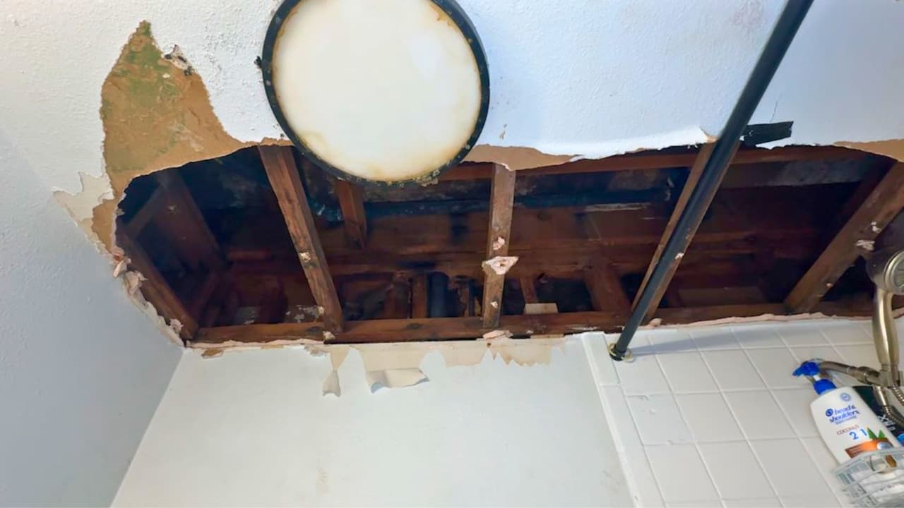 <h3 class="cms-H3-H3">El testimonio de Consuelo Ramos </h3>
<br>Consuelo Ramos, una de las afectadas,
<b>compara su situación con una experiencia inhumana</b>. “Nadie puede, nadie debe vivir así”, comentó, refiriéndose al estado en el que se encuentra su apartamento. En el complejo
<a href="https://maps.app.goo.gl/nWPzRy2n3GjYoYnQ6" target="_blank">Legacy Loft Apartments, ubicado en 2600 Highland Drive</a>, varios residentes coinciden en que
<b>llevan meses esperando que se reparen los daños graves en sus unidades</b>.