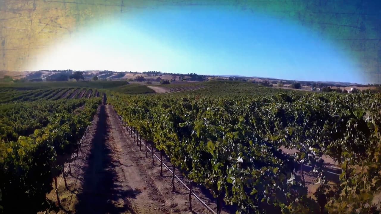 El vino del Valle pt2