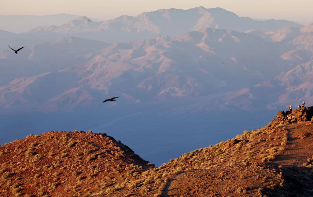 Aunque algunas partes siguen cerradas al público, la mayoría del parque está a disposición de sus visitantes para que tengan un contacto único con la naturaleza.