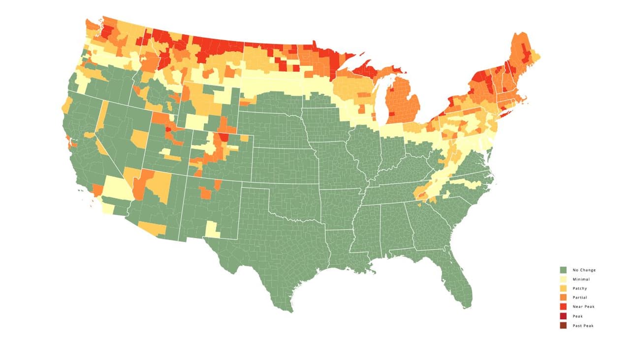<b>Semana del 26 de septiembre</b>. Todo el estado ya experimenta -en diferente medida- del cambio de color de las hojas.