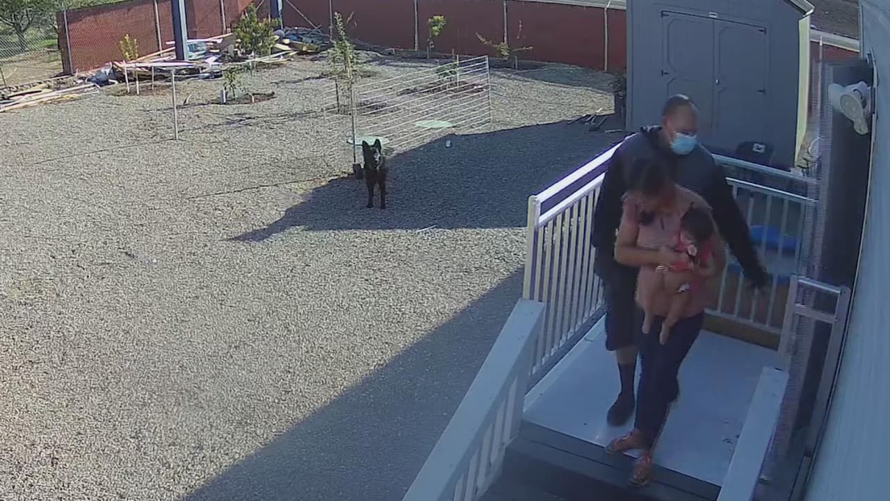 Este es el video de las cámaras de seguridad que muestra el momento en que la familia, incluida una bebé de 8 meses, son extraídos de sus oficinas y subidos a una camioneta.