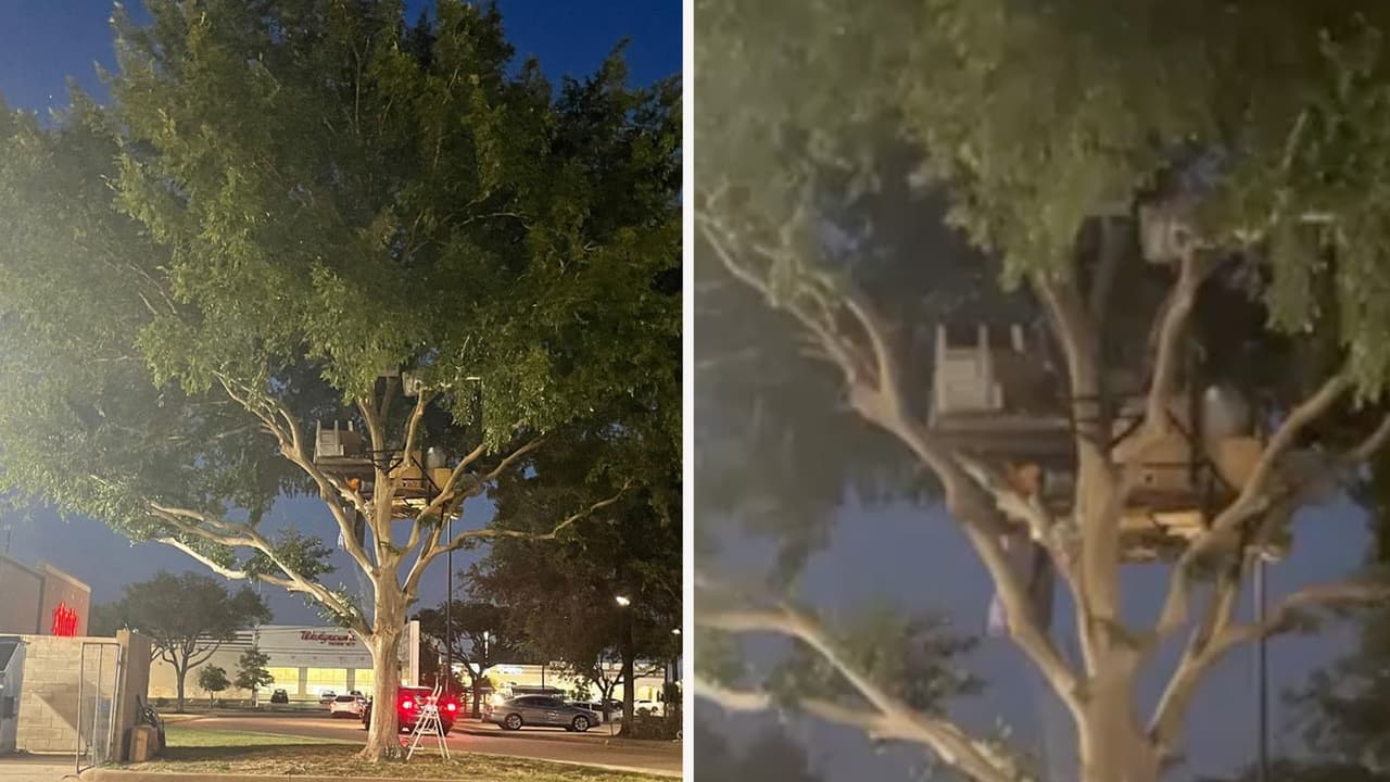 Para informes sobre ayuda disponible para personas sin hogar en Houston visite la 
<b><a href="https://www.homelesshouston.org/" target="_blank">página de internet</a></b>.