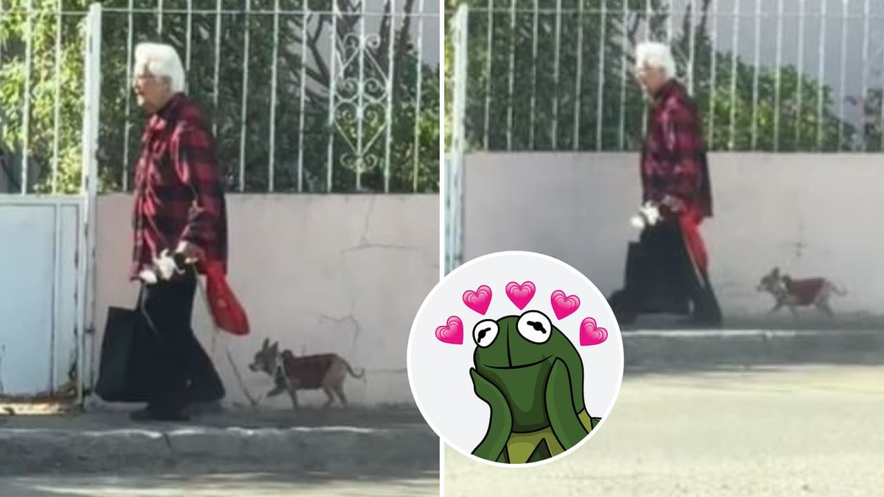 "Solo quiero ser uno de ellos": Abuelita viste combinada con su perrito y sus looks conquistan TikTok