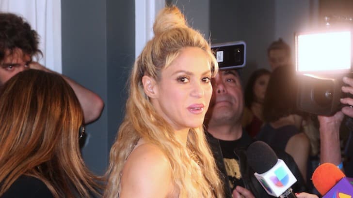 Otra famosa que está las está viendo color hormiga es 
<b>Shakira,</b> a quien 
<b>se le acusa de fraude fiscal en España. </b>
