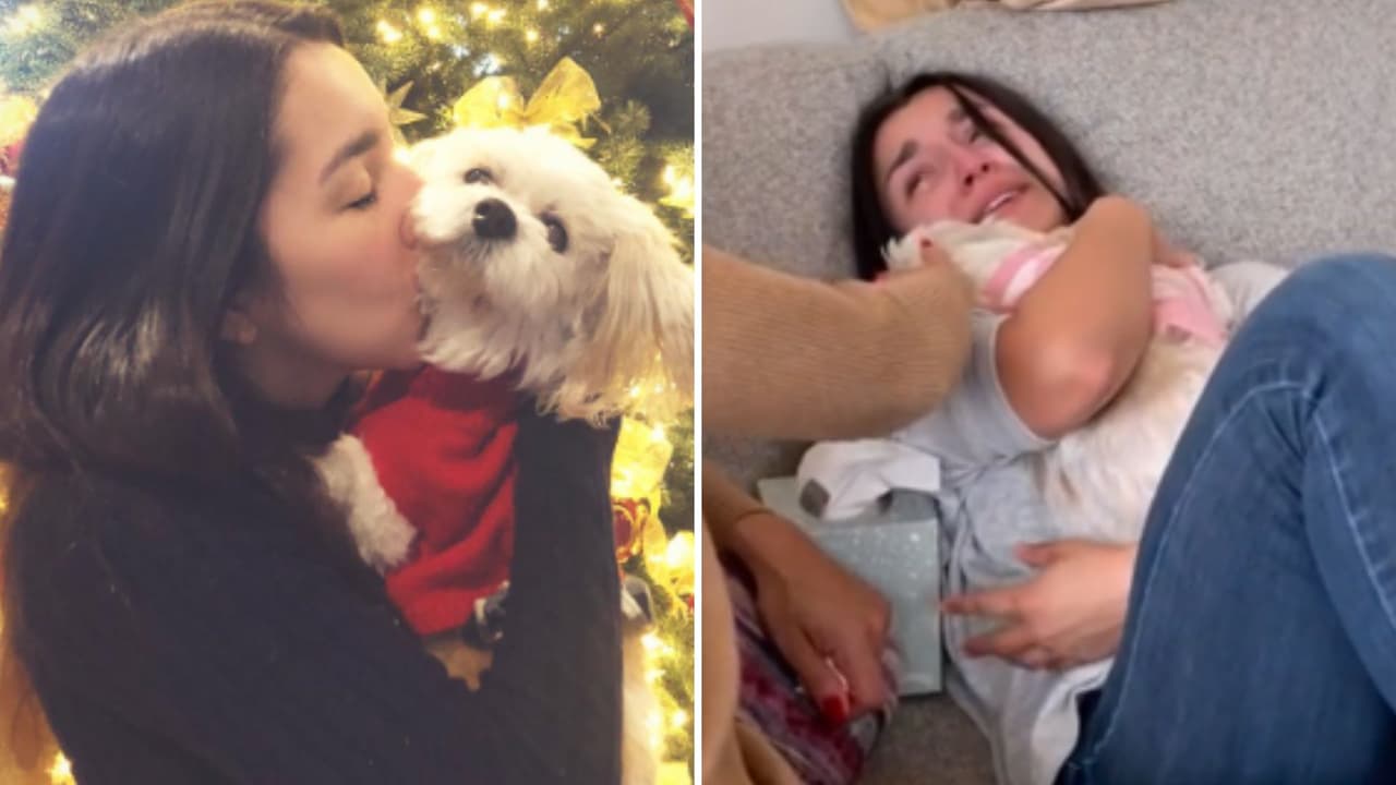 Joven dedica conmovedor video de despedida a su perrita muerta y hace llorar a TikTok