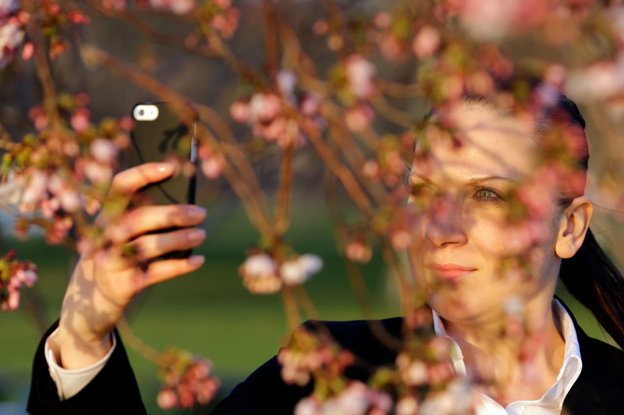 Por segundo año consecutivo, el Distrito de Parques de Chicago celebra la esperada floración de más de
<b> 200 cerezos ubicados a lo largo de la Cuenca del Columbia, <a href="https://www.univision.com/local/chicago-wgbo/localisimo/cherry-blossoms-chicago-parque-jackson-park-fotos" target="_blank">en Jackson Park. </a></b>
<br>
<br>La belleza de estos árboles radica en que sus flores se abren de forma secuencial según la especie, lo que prolonga el espectáculo natural durante varios días.
