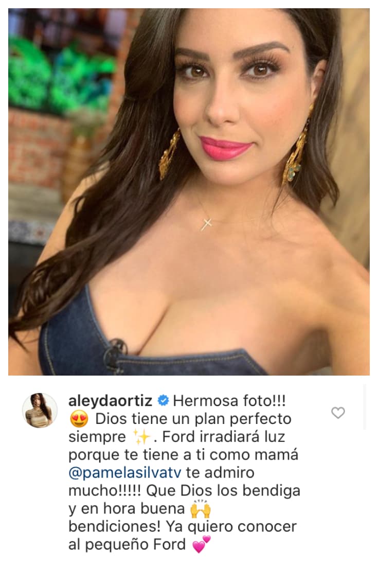 <b>Aleyda Ortiz</b> también se enterneció con la imagen: "¡Hermosa foto! Dios tiene un plan perfecto siempre. Ford irrradiará luz porque te tiene a ti como mamá. @pamelasilvatv te admiro mucho. Qué Dios los bendiga y enhorabuena. ¡Bendiciones! Ya quiero conocer al pequeño Ford".