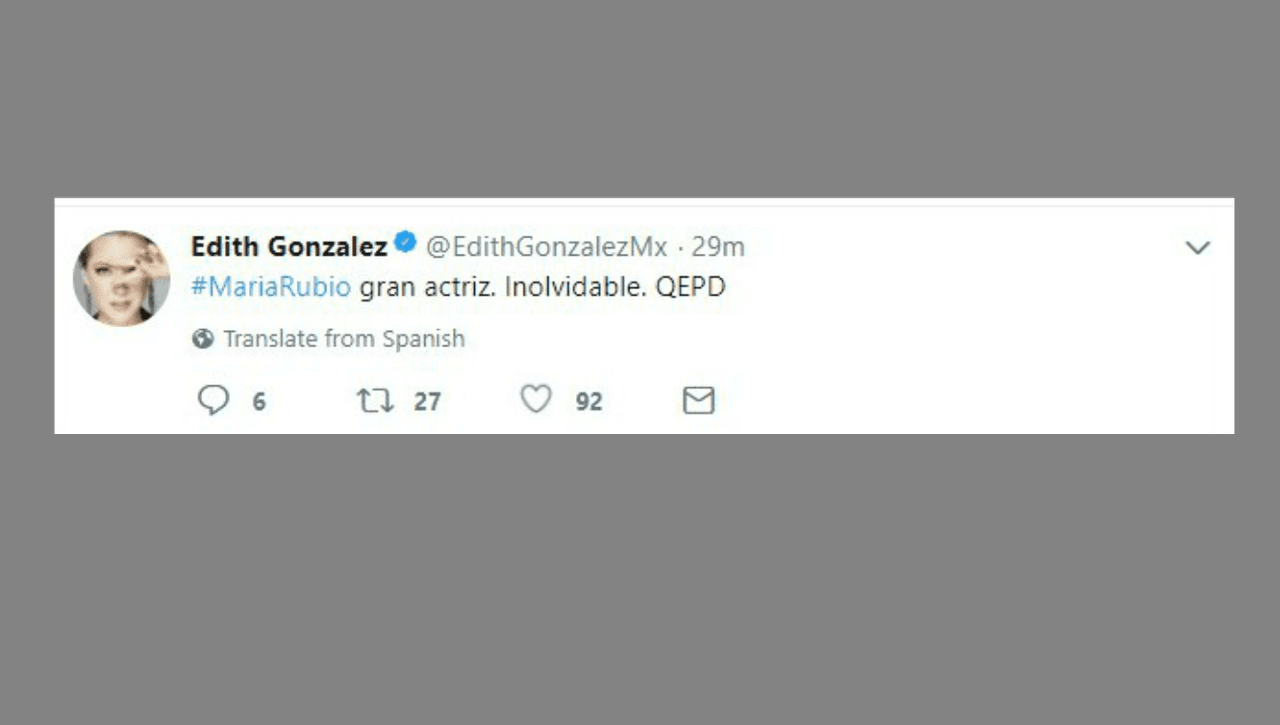 La actriz Edith González definió a María Rubio como una actriz "inolvidable". La histrión se caracterizó por la fuerza que siempre proyectó en el escenario.