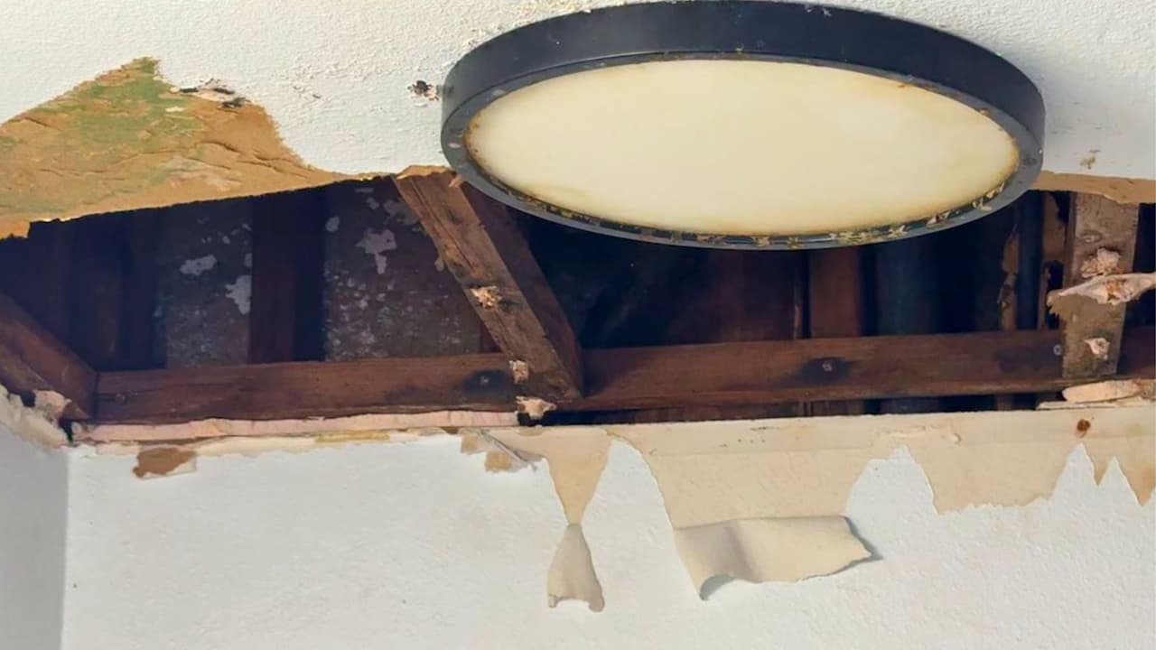 <h3 class="cms-H3-H3">Consejos del abogado Guillermo Ramos </h3>
<br>El abogado explicó que, dependiendo de lo que los inquilinos busquen,
<b>podrían solicitar que se les reasigne otro departamento dentro del mismo complejo si hay unidades disponibles</b>. “Si el complejo tiene apartamentos vacíos, se puede trasladar a los residentes a esas unidades”, señaló. En cuanto a la posibilidad de que la administración termine el contrato de arrendamiento, Ramos aconseja que
<b>todo se haga por escrito para evitar malentendidos o futuros conflictos</b>. “Es importante que cualquier acuerdo esté documentado”, agregó.