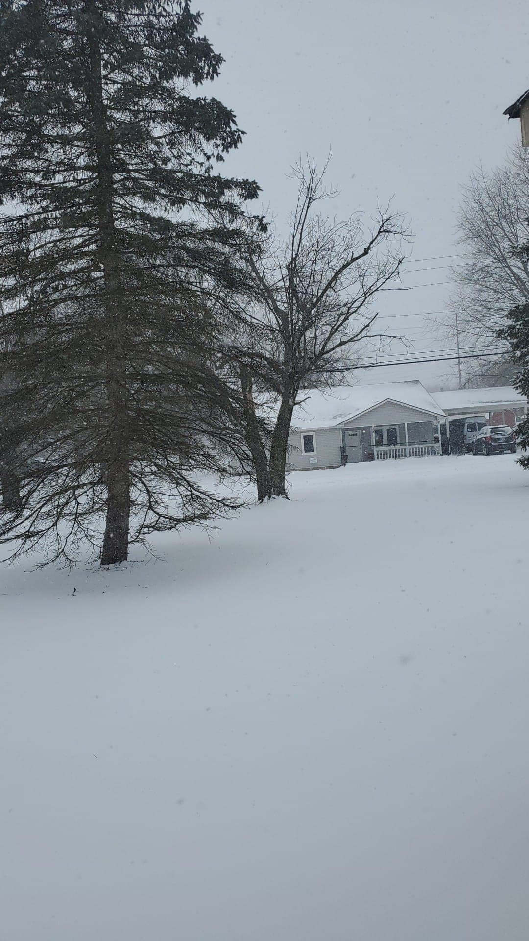 En algunas ciudades de Estados Unidos, como Indianapolis, la nieve alcanza varios centímetros de altura.