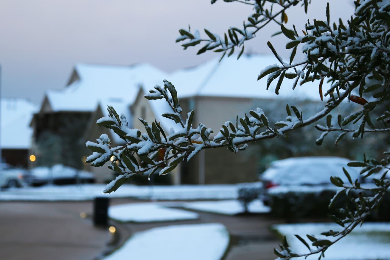 Corpus Christi, San Antonio y Houston vivieron la ola de frío que trajo consigo una extraña nevada, que no se veía en algunos lugares desde 1987. Los habitantes del sur de Texas se despertaron con sus tejados, autos y césped cubiertos de nieve.
<br>