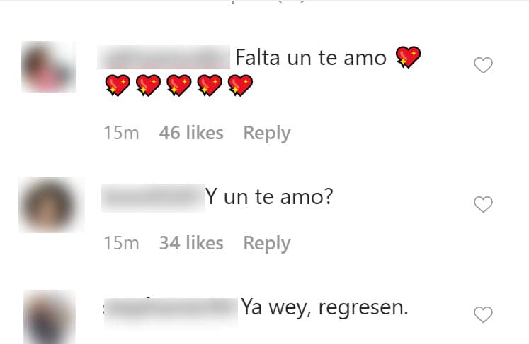 Ante la felicitación de Ochmann, algunos de sus seguidores le cuestionaron que en la misma 
<b><a href="https://www.univision.com/shows/despierta-america/en-este-momento-si-estamos-separados-aislinn-responde-al-estilo-derbez-que-pasa-con-mauricio-ochmann-video" target="_blank">no existió un 'te amo' </a></b>para ella. Otros le expresaron sus deseos de que vuelvan a estar juntos. 
<br>